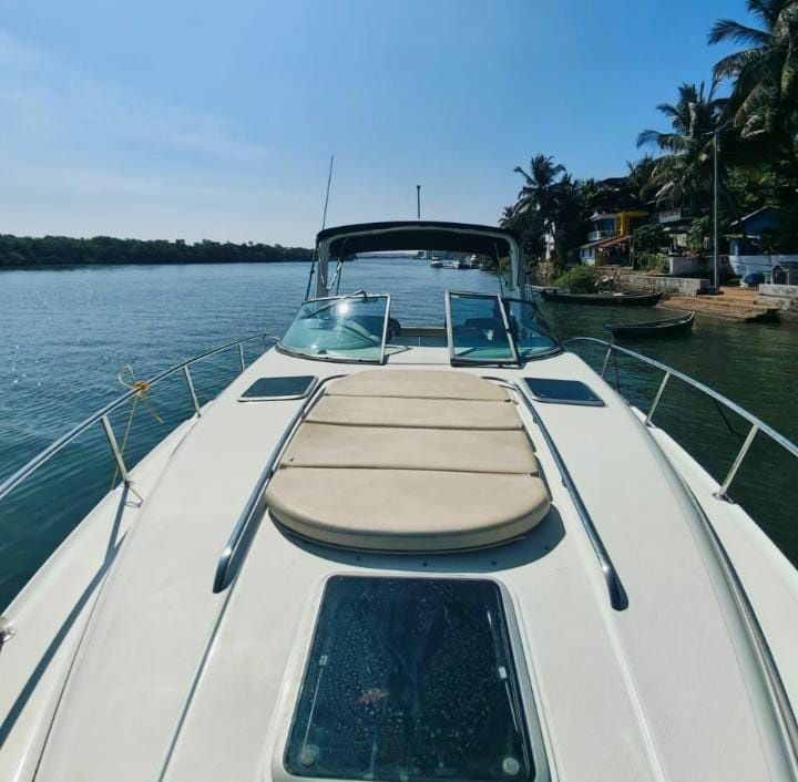 Chaparral 330 | Black Pearl