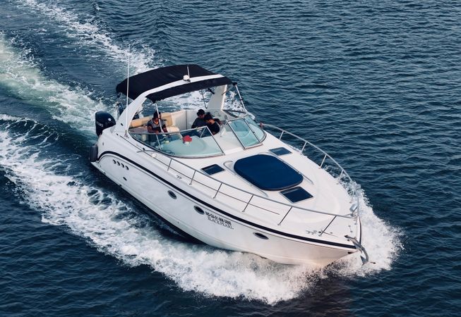Chaparral 330 | Black Pearl