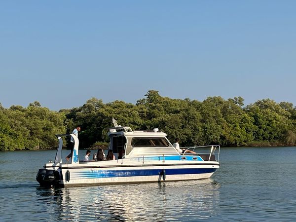 Custom Built 27 | Limited Edition