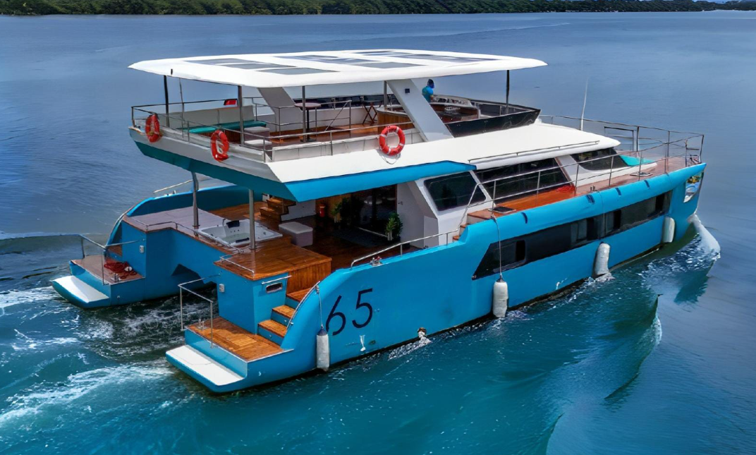 Custom Built 65 | Mi Amor