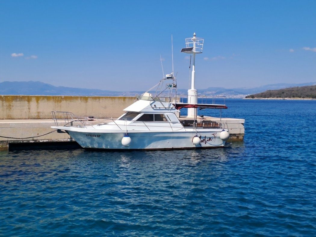 Arcoa 1080 | Marlin 2