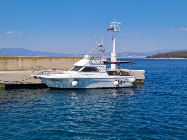 Arcoa 1080 | Marlin 2