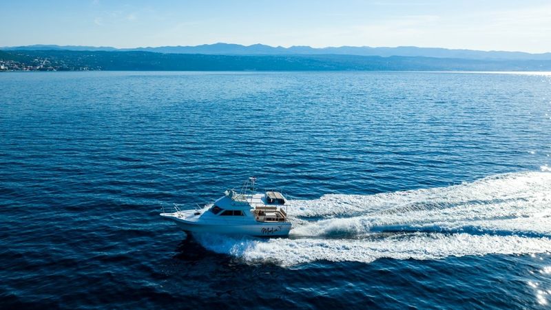 Arcoa 1080 | Marlin 2