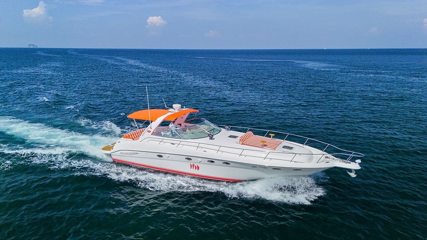 Sea Ray 460 | Vodka