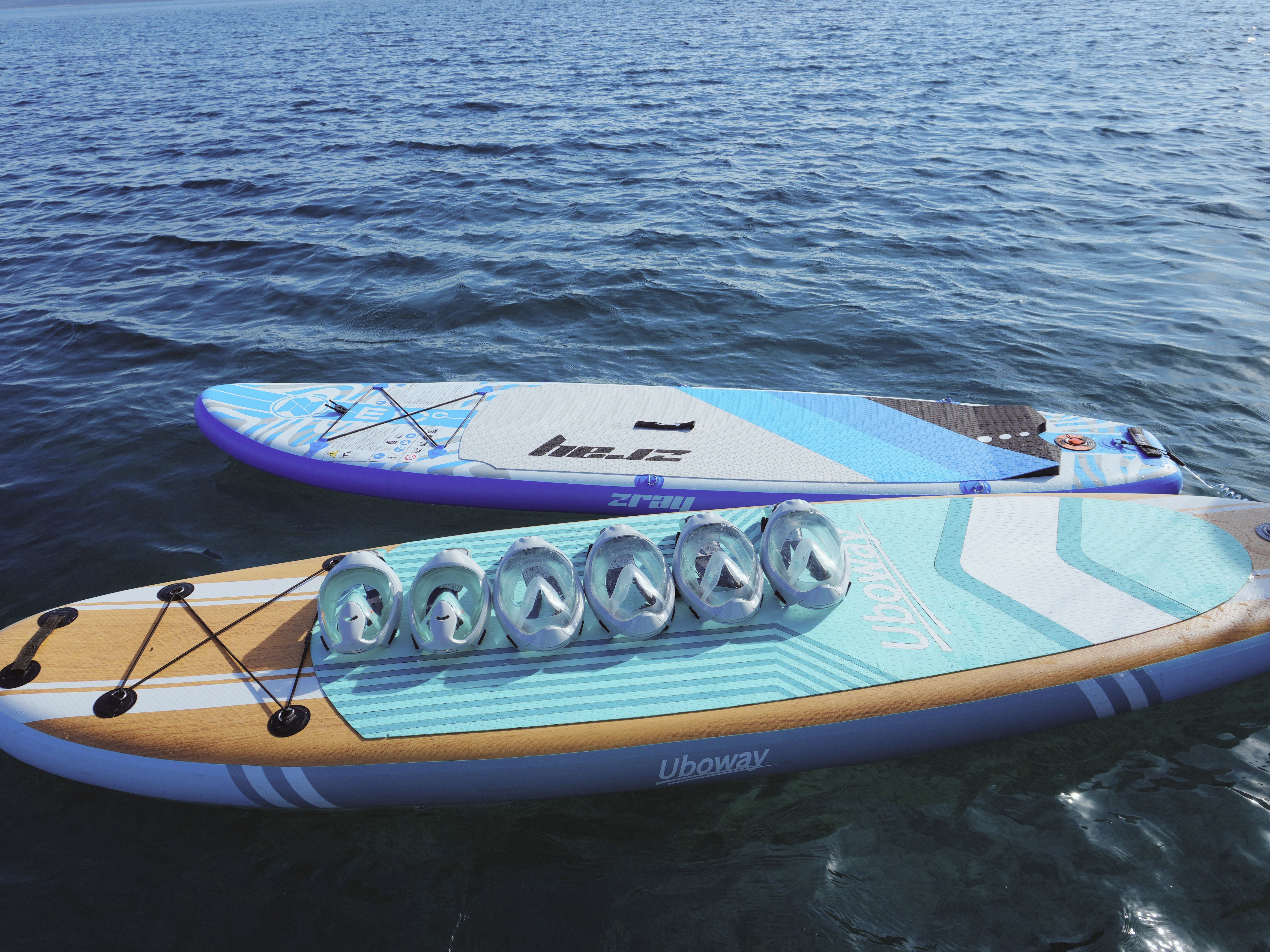 Leopard 50 | Sonea