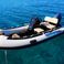 Leopard 50 | Sonea
