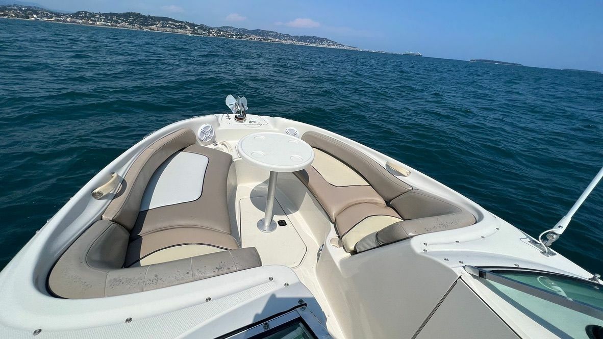 Sea Ray 240 | Forban