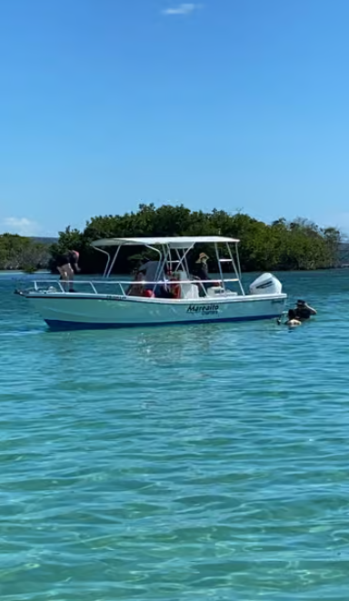 Aquasport 200 Osprey | Sea Sick