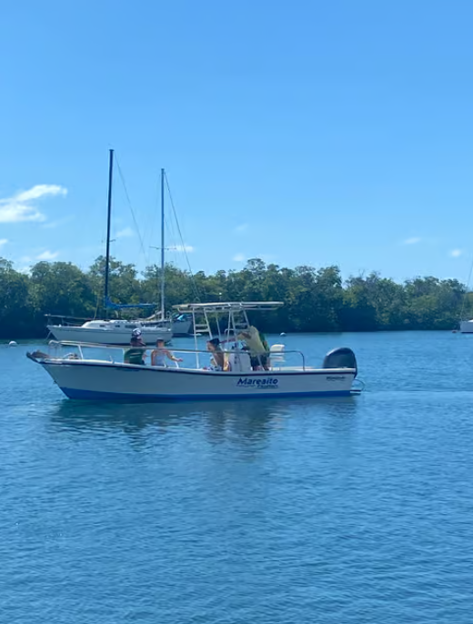 Aquasport 200 Osprey | Sea Sick