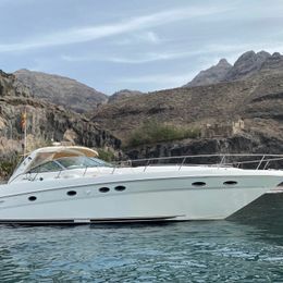 Sea Ray 460 | New Infinity