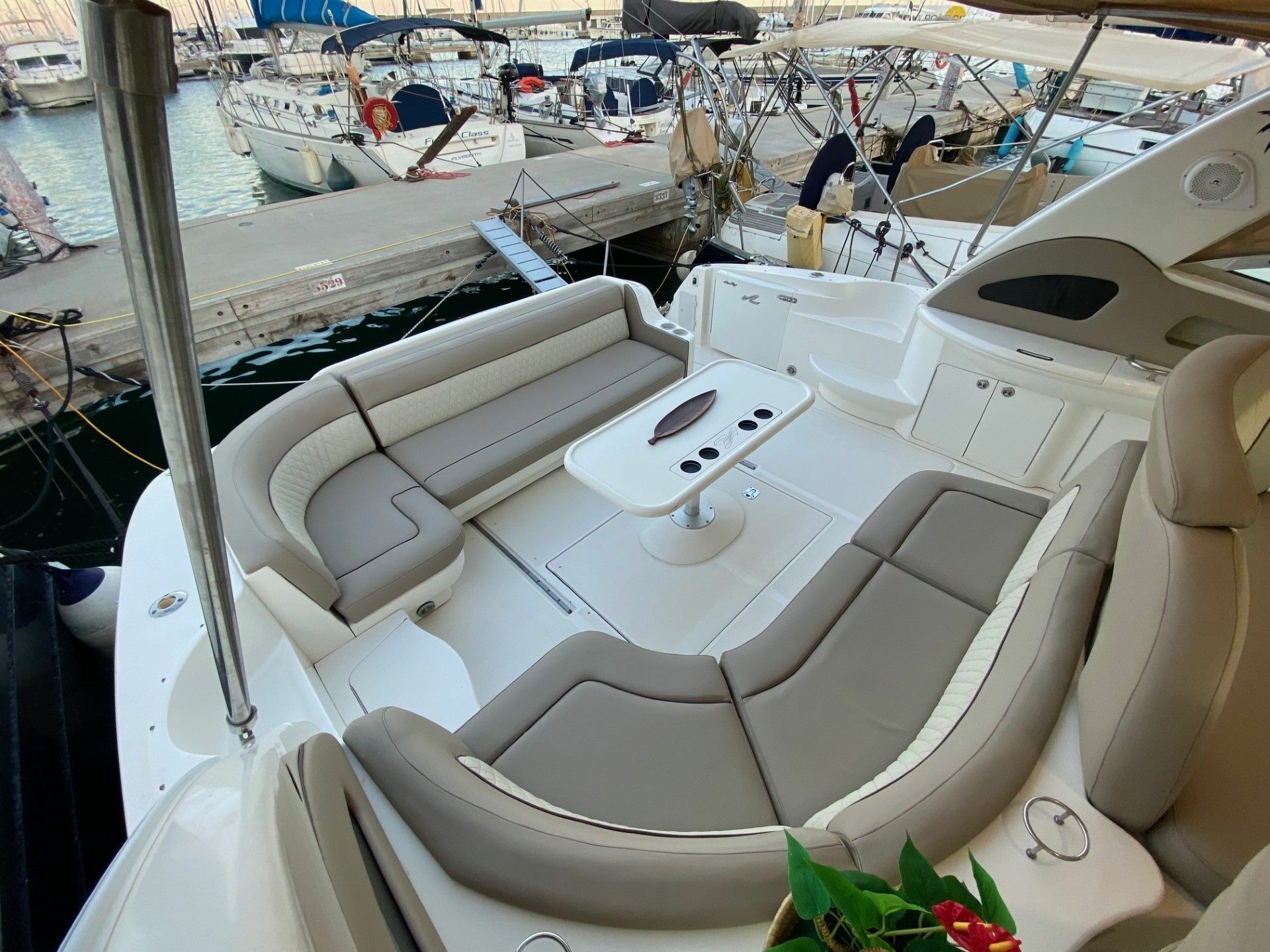 Sea Ray 460 | New  Infinity
