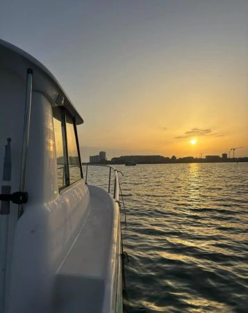 Ocqueteau 615 | Alex