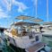 Bavaria C46 | Tulipa