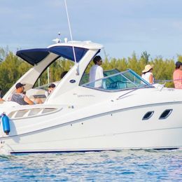 Sea Ray 310 Sundancer | Living Waters