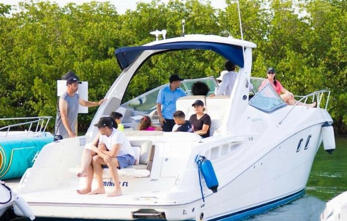 Sea Ray 310 Sundancer | Living Waters