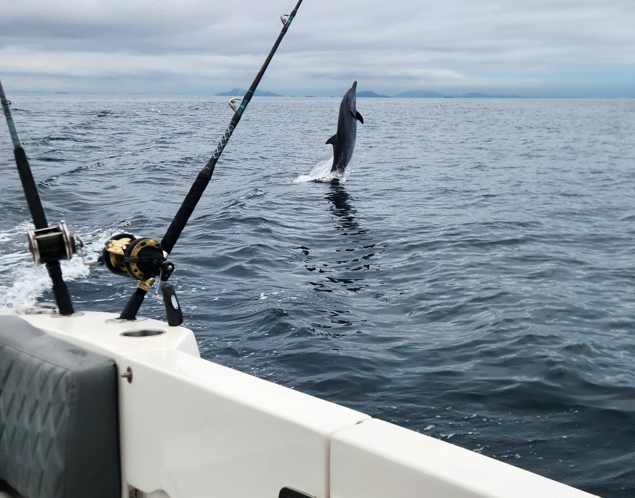 Todomar 38 | Talishar