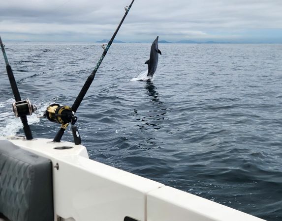 Todomar 38 | Talishar