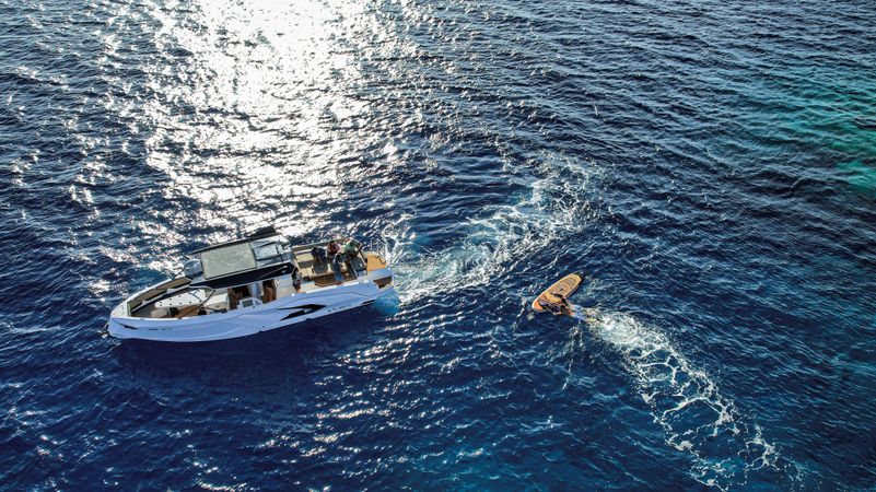 Alesta Raptor | Sirena