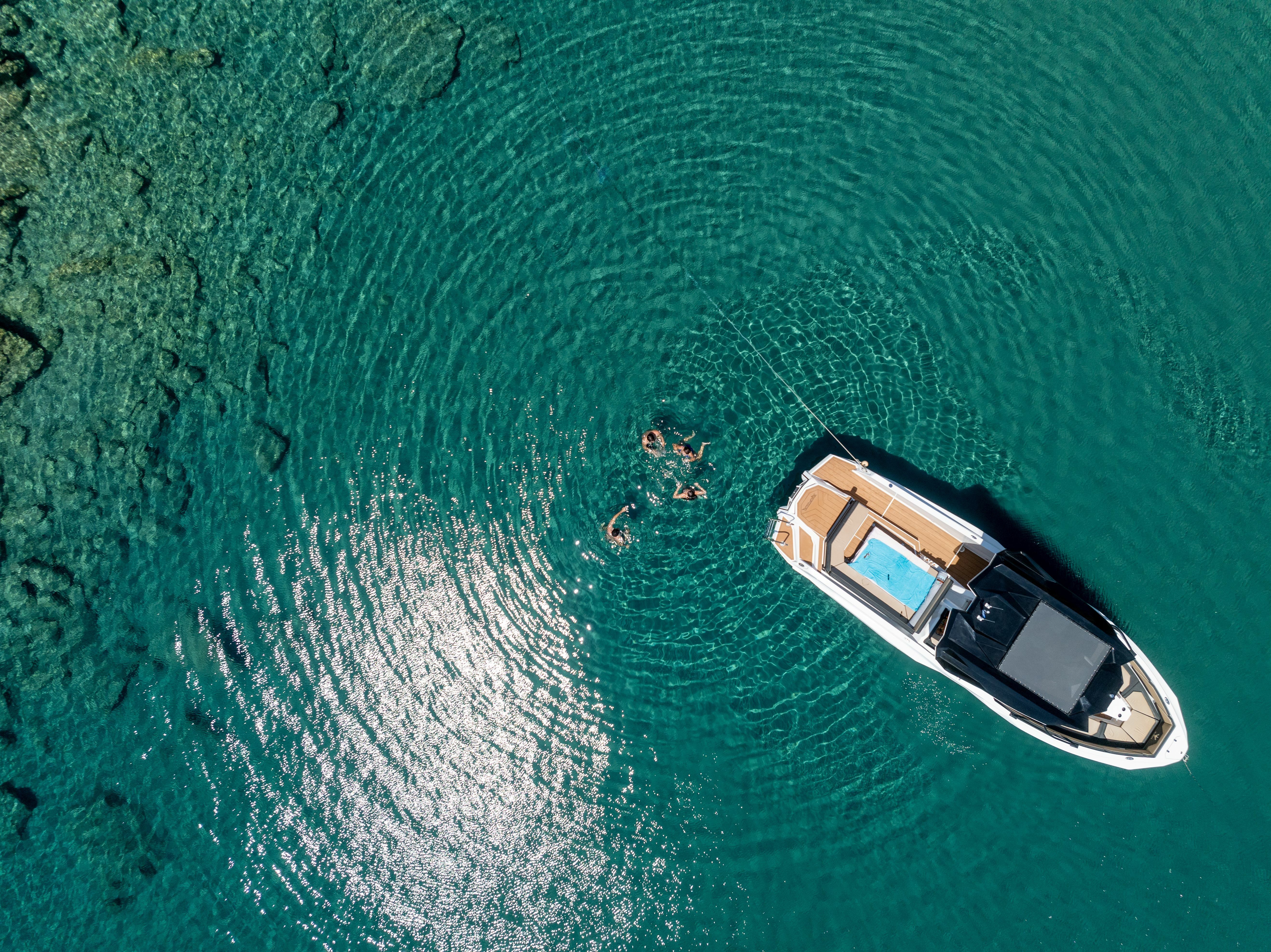 Alesta Raptor | Sirena