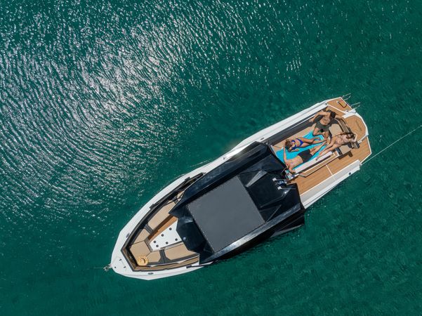 Alesta Raptor | Sirena