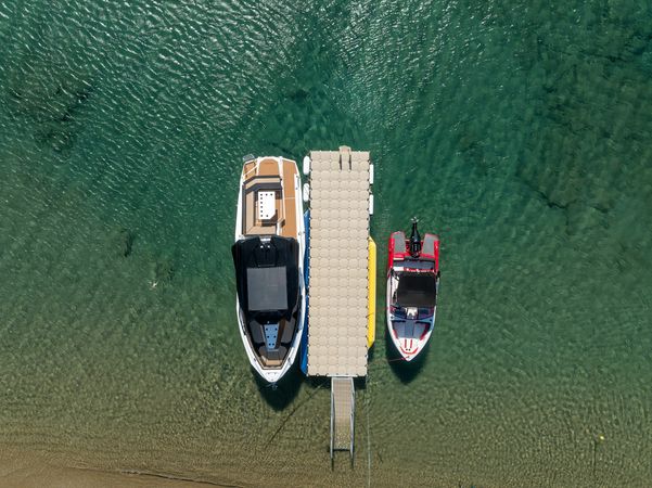 Alesta Raptor | Sirena