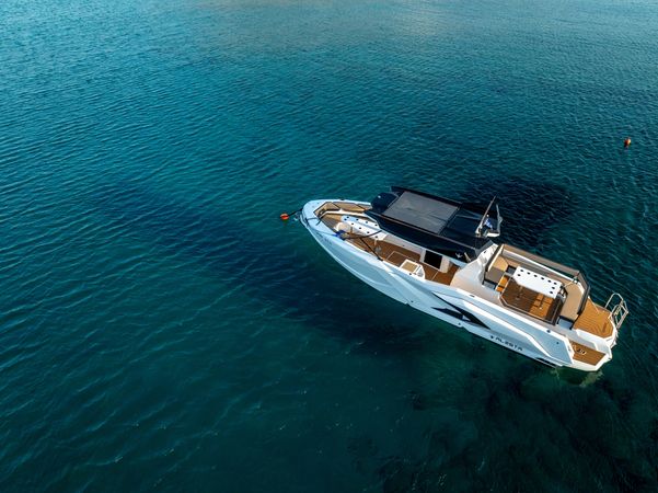 Alesta Raptor | Sirena