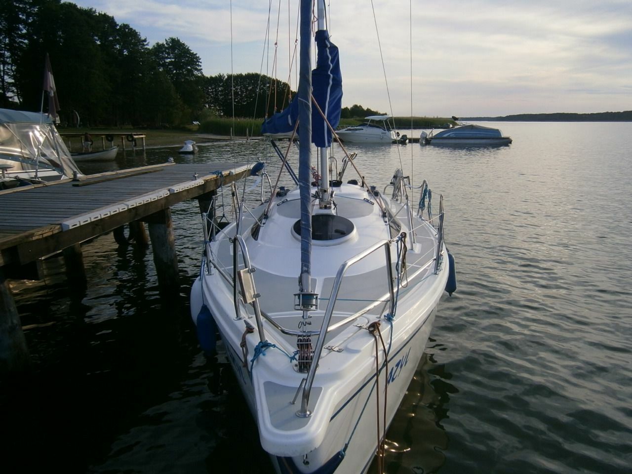 Sasanka Viva 700 | Azyl