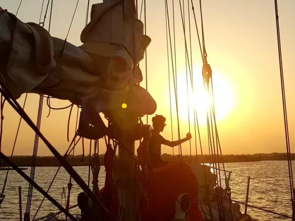 Custom Built 37 | Explorer