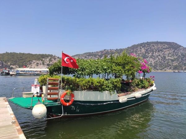 Custom Built 33 | Summer Garden