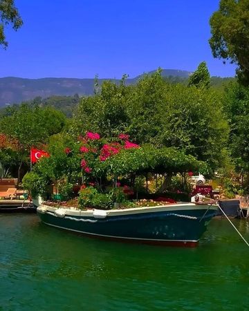 Custom Built 33 | Summer Garden