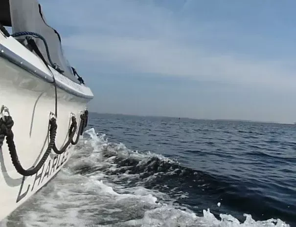 Gulden Vlies 780 | Charles