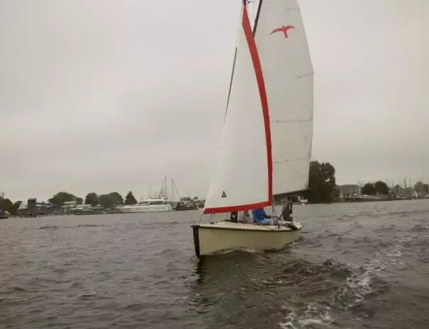 Hoora Polyvalk | Falco