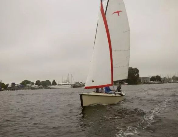 Hoora Polyvalk | Falco