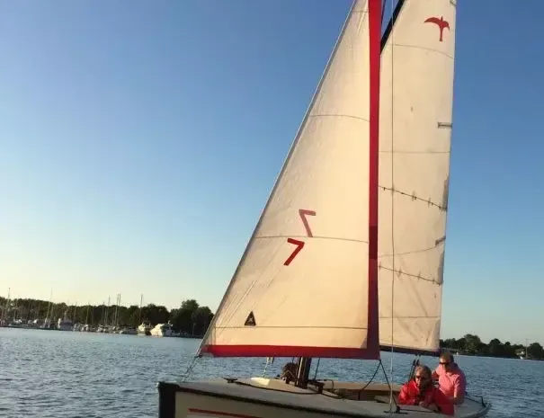 Hoora Polyvalk | Falco