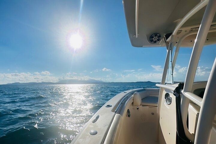 Grady White Canyon 336 | 23