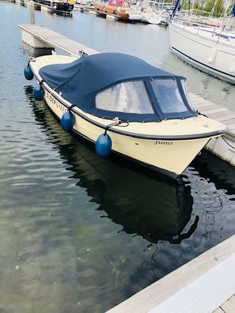 Gulden Vlies 560 | Juno