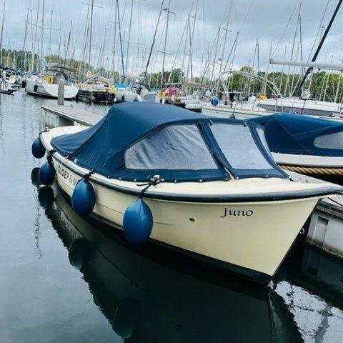 Gulden Vlies 560 | Juno