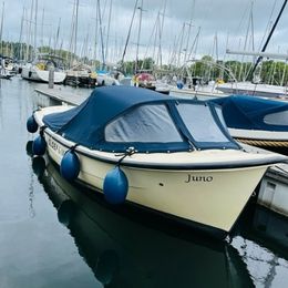 Gulden Vlies 560 | Juno