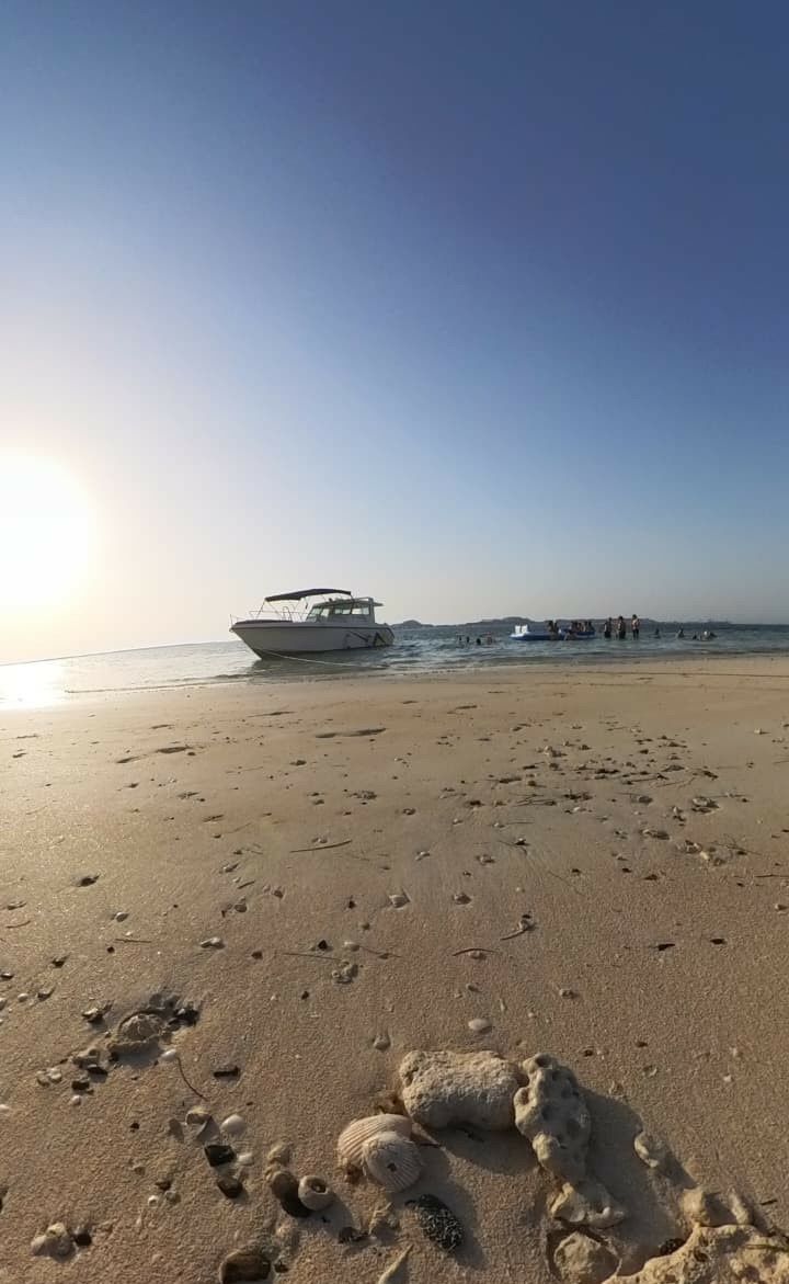 Gulf Craft 33 | Sea Bird