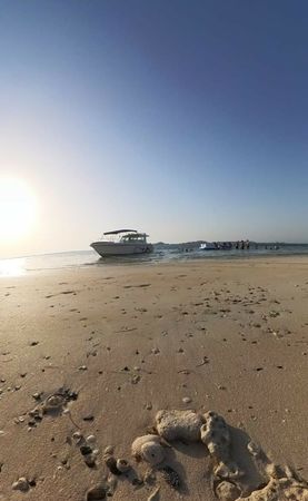 Gulf Craft 33 | Sea Bird