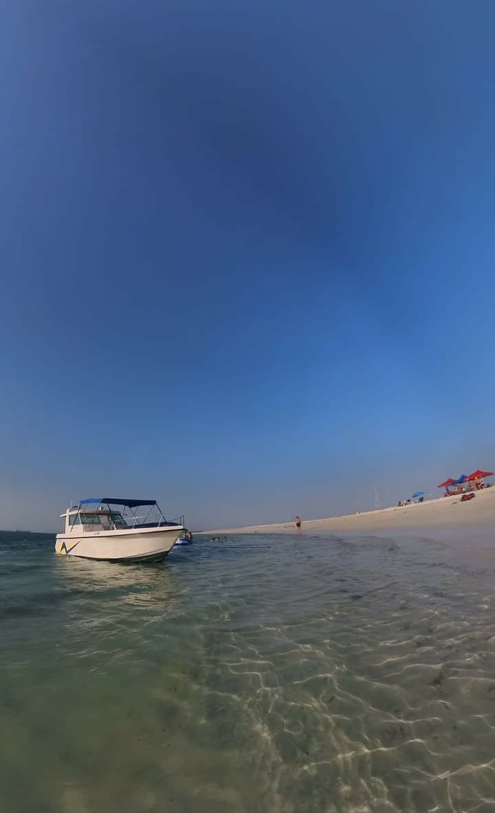 Gulf Craft 33 | Sea Bird
