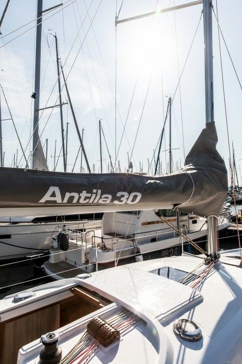Antila 30 | Albercik