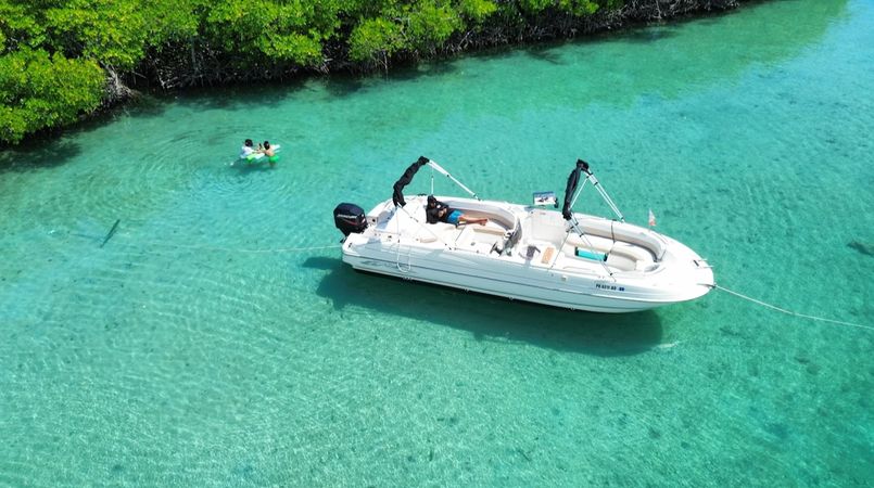 Bayliner 2659 | El Jolgorio