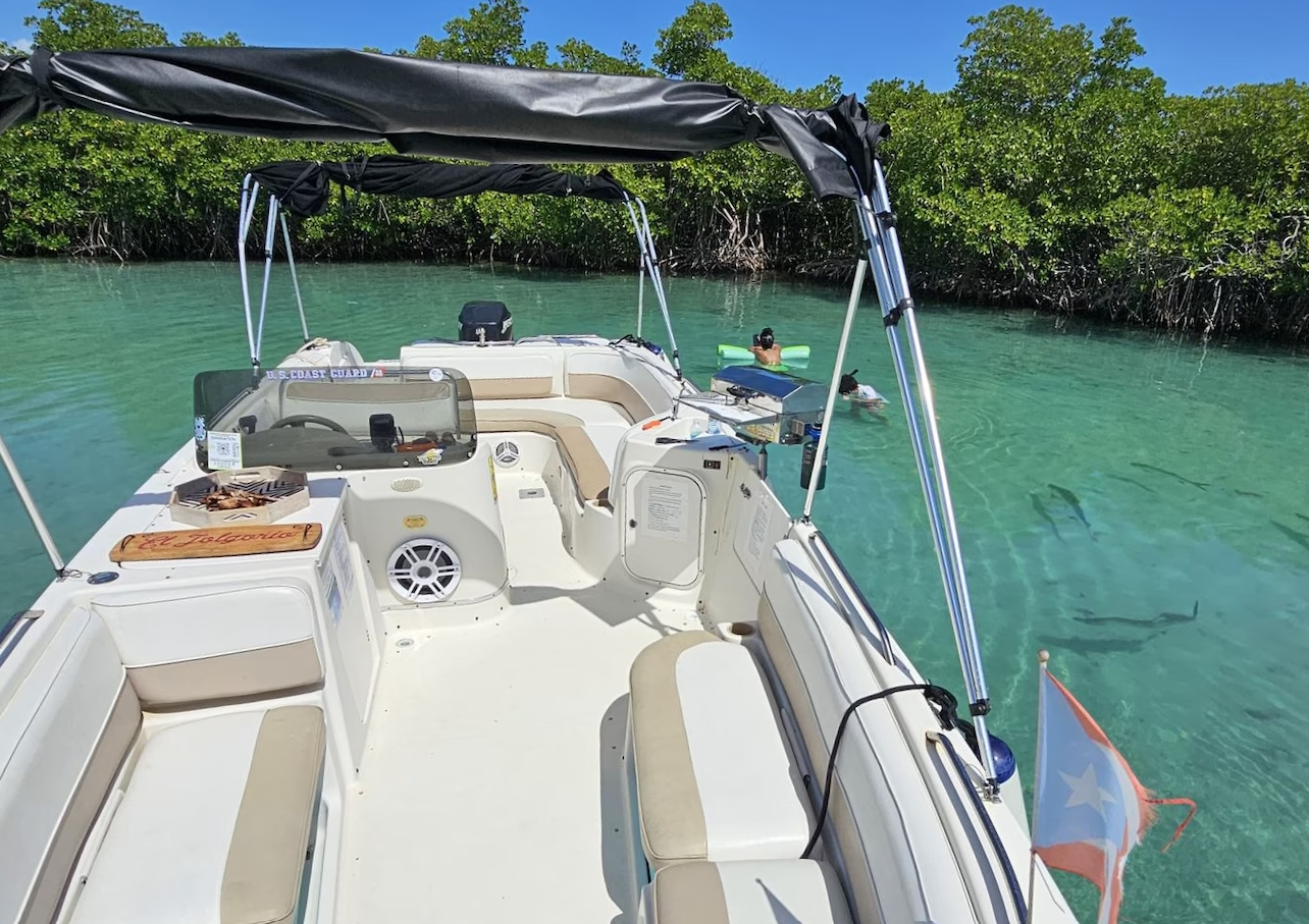 Bayliner 2659 | El Jolgorio