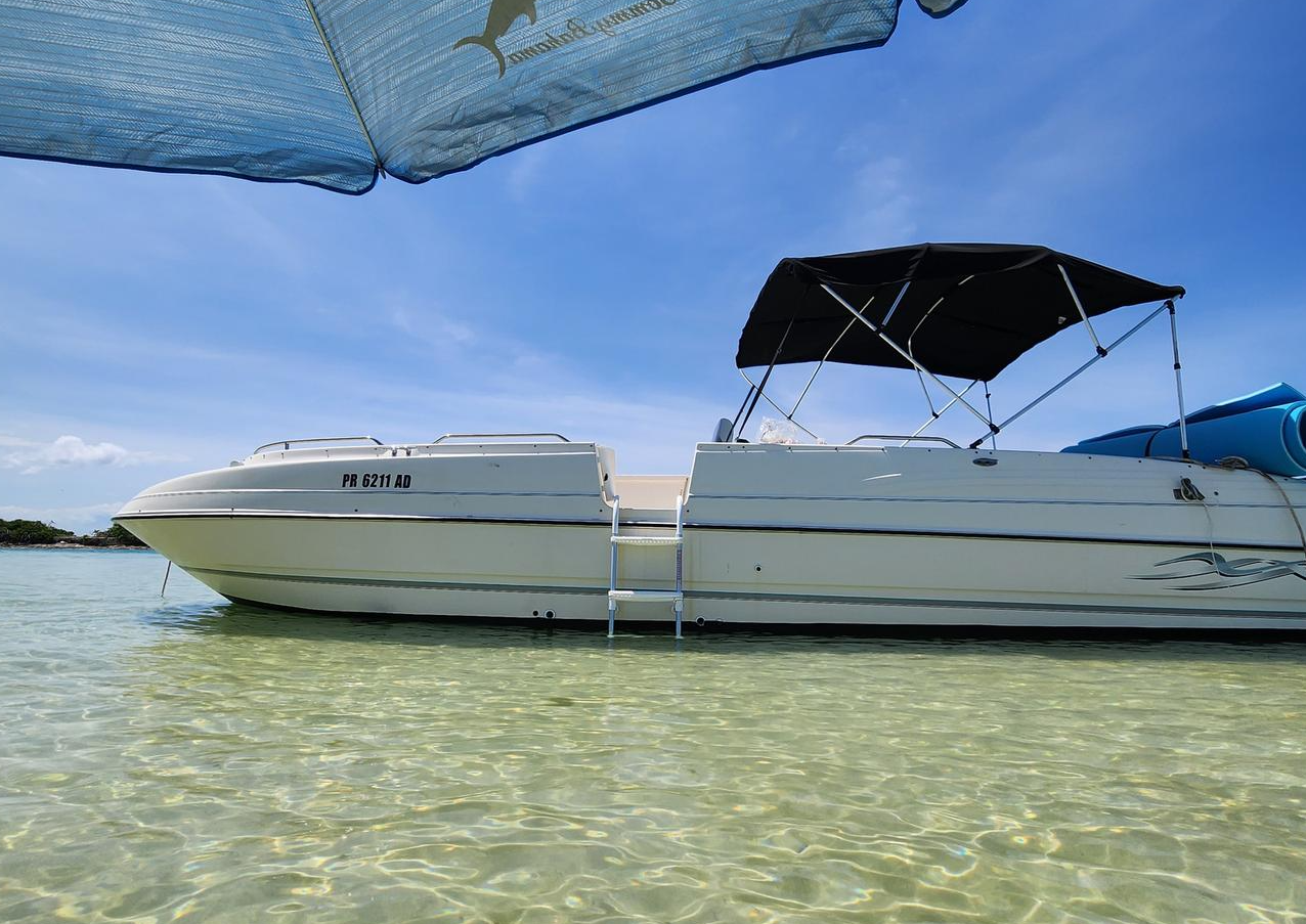 Bayliner 2659 | El Jolgorio