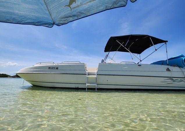 Bayliner 2659 | El Jolgorio