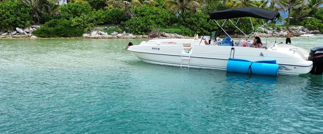 Bayliner 2659 | El Jolgorio