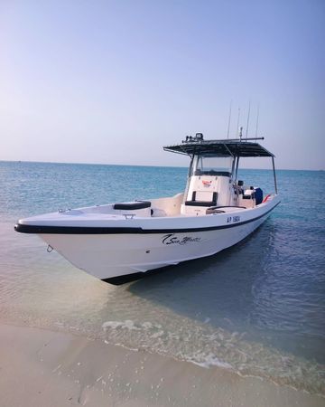 Seamaster 34 | Sea Bird 2