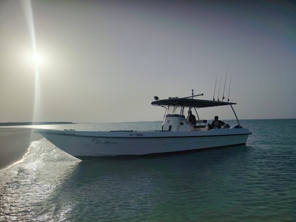 Seamaster 34 | Sea Bird 2