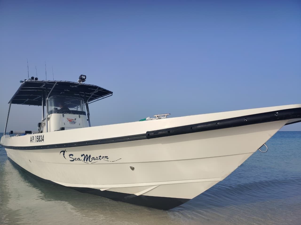 Seamaster 34 | Sea Bird 2